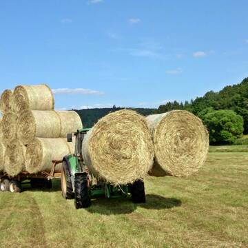 Bild: Stellenmarkt in  Nohfelden