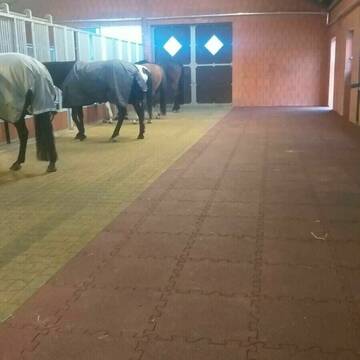 Bild: Stall in  Lindlar