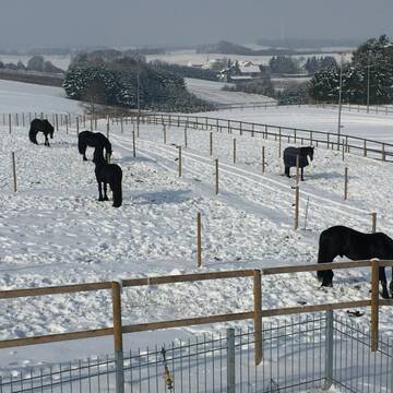 Bild: Stall in  Schweitenkirchen