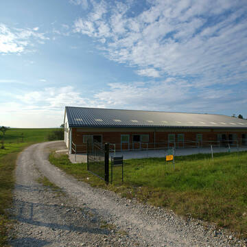 Bild: Stall in  Ravensburg