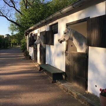 Bild: Stall in  Mülheim an der Ruhr