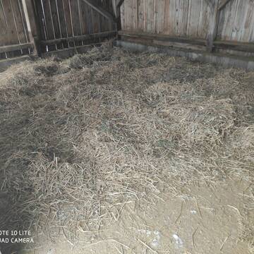 Bild: Stall in  Glonn