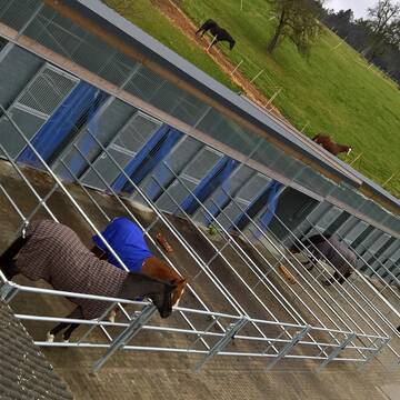 Bild: Stall in  Calw