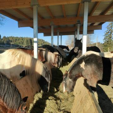 Bild: Stall in  Altusried