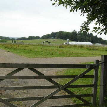 Bild: Stellenmarkt in  Lindlar