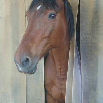 Bild: Service in  Bobingen