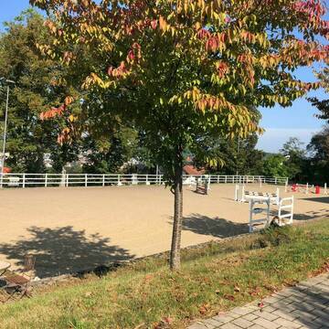 Bild: Stall in  Goldbach