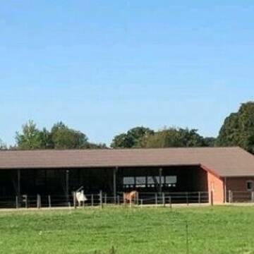 Großer Offenstall und Halle