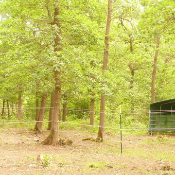 Bild: Stall in  Waldalgesheim