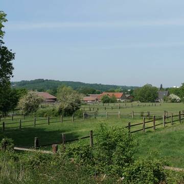 Bild: Stall in  Überruhr-Holthausen