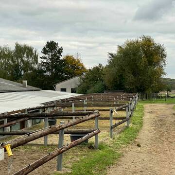 Bild: Stall in  Witten