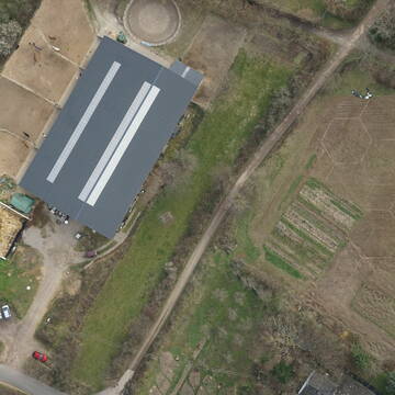 Bild: Stall in  Bornheim