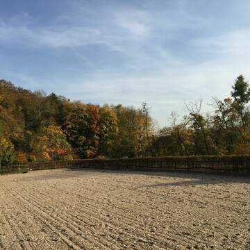 Dressurplatz (20x60m)