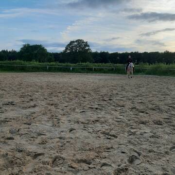 Bild: Stall in  Wohltorf