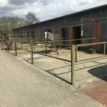 Bild: Stall in  Dülmen