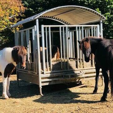 24 h Heu aus Rundraufen mit Netzen
