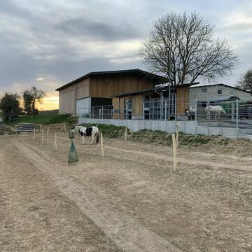 Bild: Stall in  Sinsheim