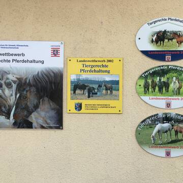 Bild: Stall in  Trebur