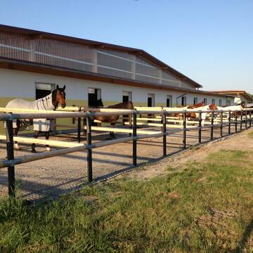 Bild: Stall in  Trebur