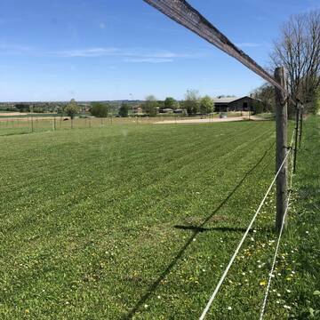 Bild: Stall in  Alling