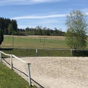 Bild: Stall in  Alling