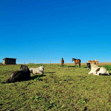 Bild: Stall in  Utzstetten