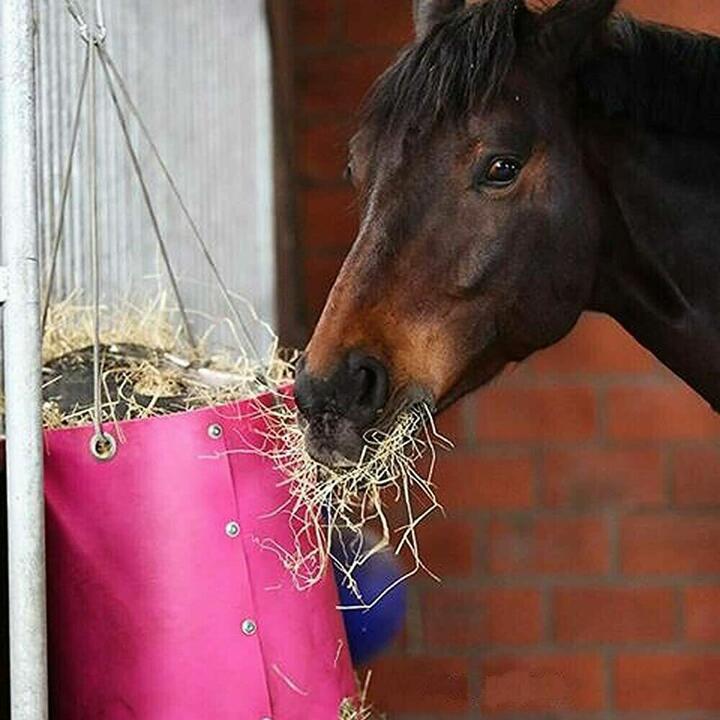 Futtersack HeuToy, Fressbremse in pink (Anzeige)