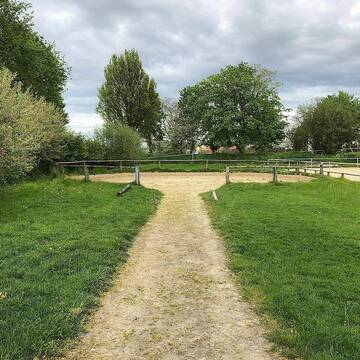 Bild: Stall in  Laer