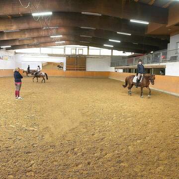 Bild: Stall in  Laer