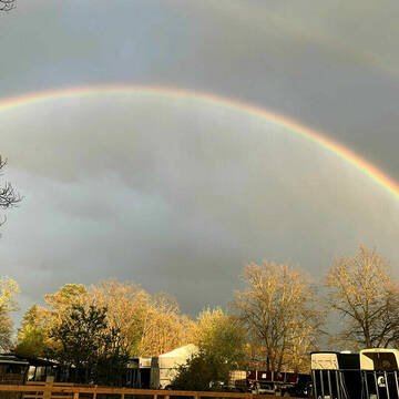 Bild: Stall in  Schildow