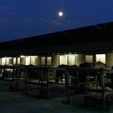 Bild: Stall in  Schildow