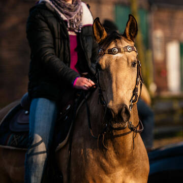 Bild: Service in  Kirchhellen-Mitte