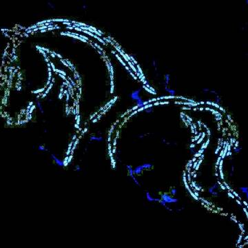 Bild: Service in  Viersen