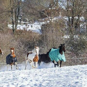 Bewegung ist wichtig!