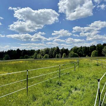 Bild: Stall in  Wonneberg