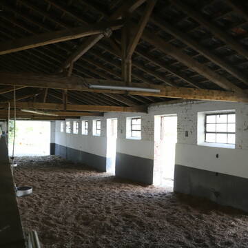 Bild: Stall in  Oekoven