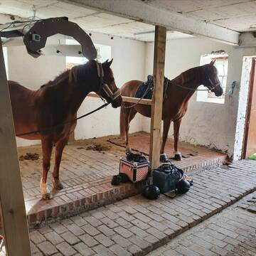 2 überdachte Putzplätze und Solarium