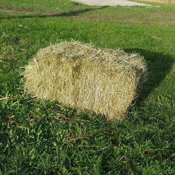 Bild: Futter & Einstreu in  Hilpoltstein