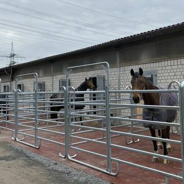 Bild: Stall in  Leichlingen