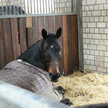 Bild: Stellenmarkt in  Leichlingen