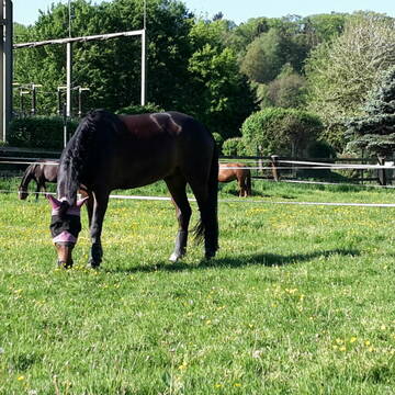 Bild: Stellenmarkt in  Leichlingen