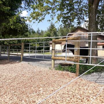 Bild: Stall in  B 31, Oberdorf, Langenargen