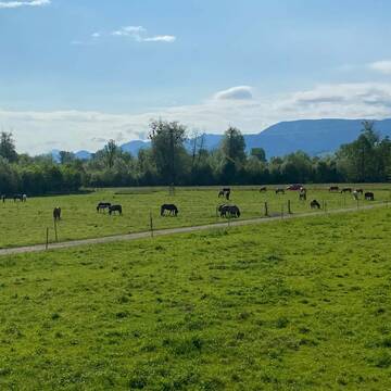 Bild: Stall in  Rosenheim
