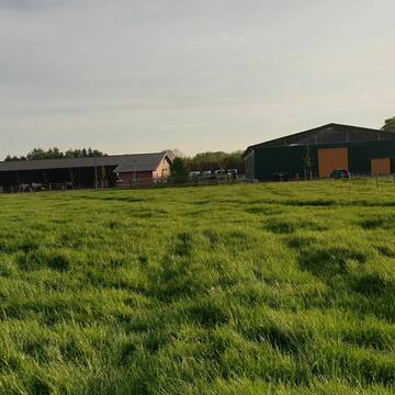 Bild: Stall in  Ganderkesee