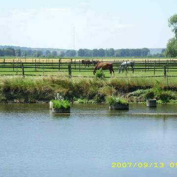 Bild: Stall in  Groß-Gerau