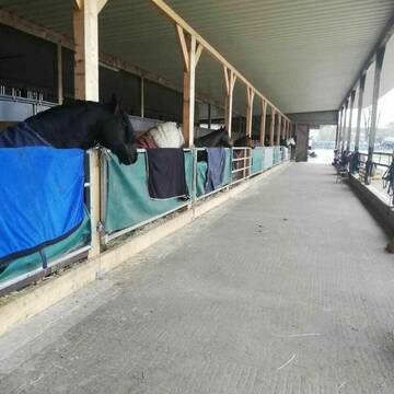 Bild: Stall in  Tensbüttel