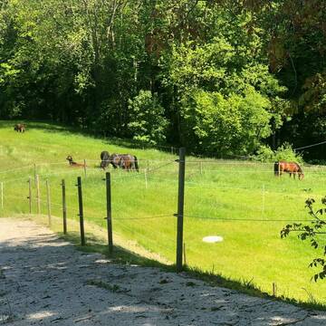 Bild: Stall in  Berg