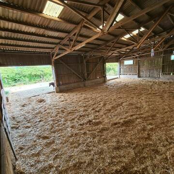 Offenstall Liegefläche