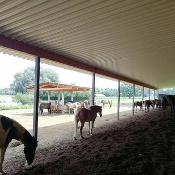 Bild: Stall in  Frankenried