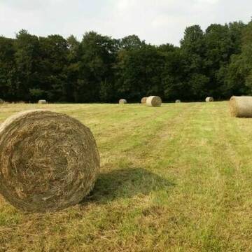 Bild: Futter & Einstreu in  Rösrath